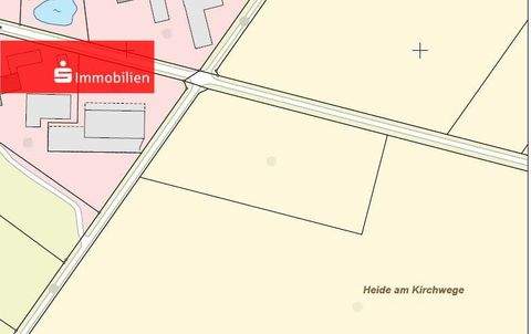 Diepholz Bauernhöfe, Landwirtschaft, Diepholz Forstwirtschaft