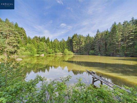 Ansicht Teich 1 - Pic 2