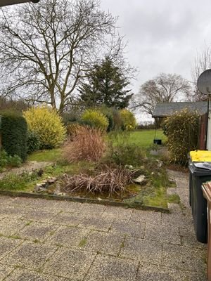 Blick in den Garten 