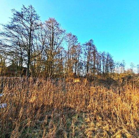 Sülfeld Grundstücke, Sülfeld Grundstück kaufen