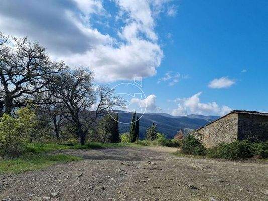 Objekt in Panoramalage