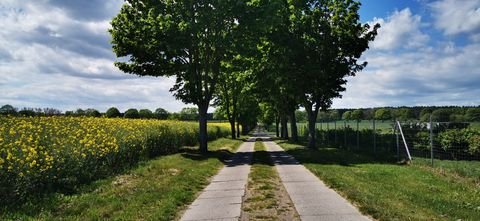 Basedow Grundstücke, Basedow Grundstück kaufen