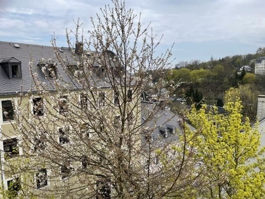 Ausblick Schlafzimmer