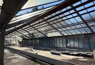 weiteres Gewächshaus