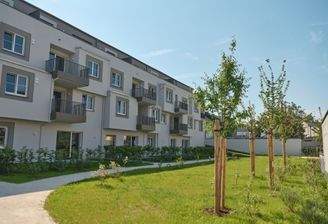 Eferdinger_Straße_Wels_Images_6274