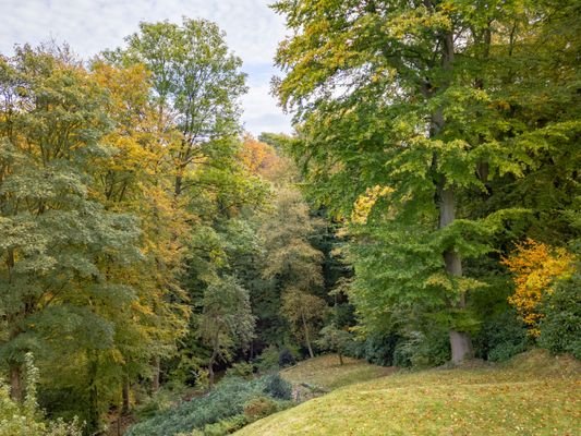 Blick in den Garten