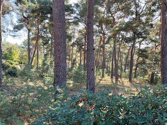 Baugrundstück Nachbar