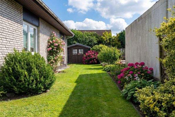 Garten nach Norden im Sommer