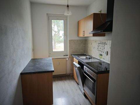 Regis-Breitingen Wohnungen, Regis-Breitingen Wohnung mieten