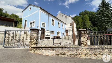 Burgschleinitz Häuser, Burgschleinitz Haus kaufen