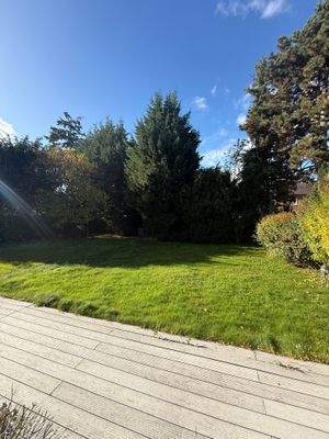 Blick von Terrasse in Garten