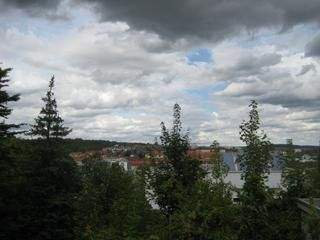 IMG_5441 - Kopie.JPG