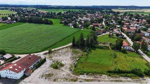 Otterfing Häuser, Otterfing Haus kaufen