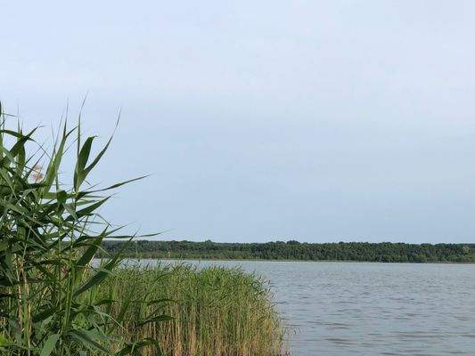 See in direkter Umgebung