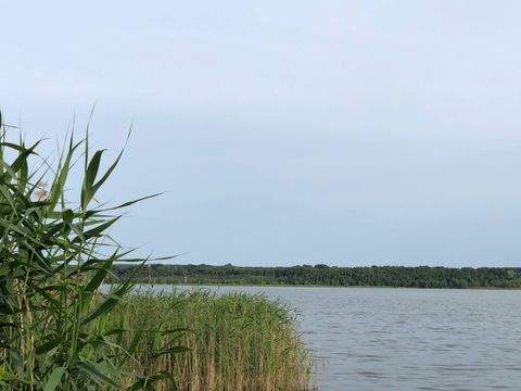 Bestensee Wohnungen, Bestensee Wohnung mieten