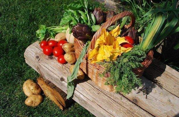 Mini Häuschen Toskana Lari (7).JPG