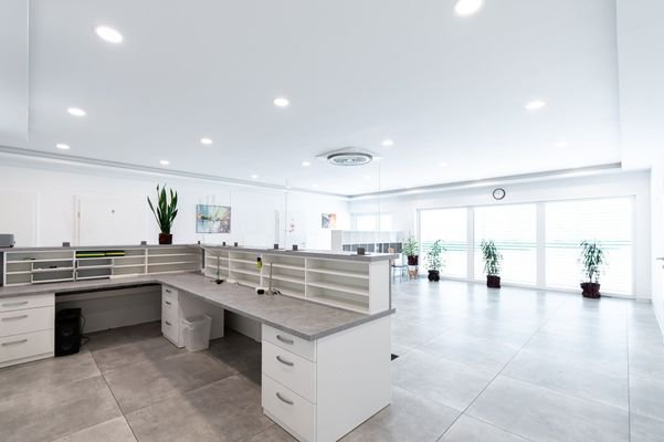 Löwen-Immobilien-Gewerbeobjekt-Büroräume-Gemeinsch