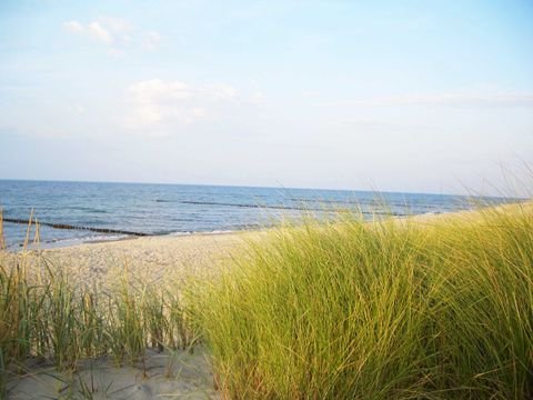Ostseebad Ahrenshoop Wohnungen, Ostseebad Ahrenshoop Wohnung kaufen