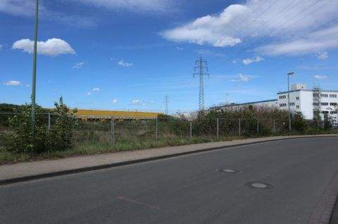 Essen Halle, Essen Hallenfläche