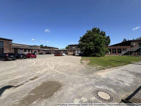 Dortmund Halle, Dortmund Hallenfläche