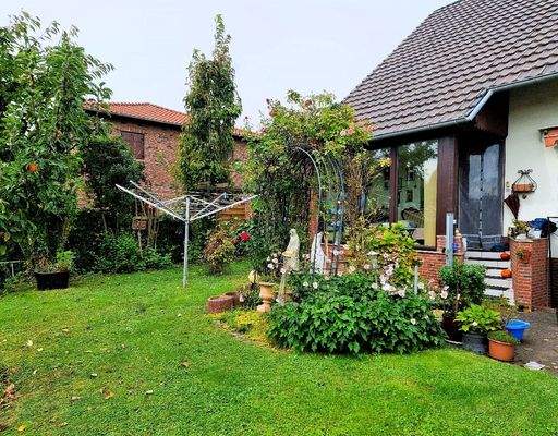 Rosen vor dem Wintergarten