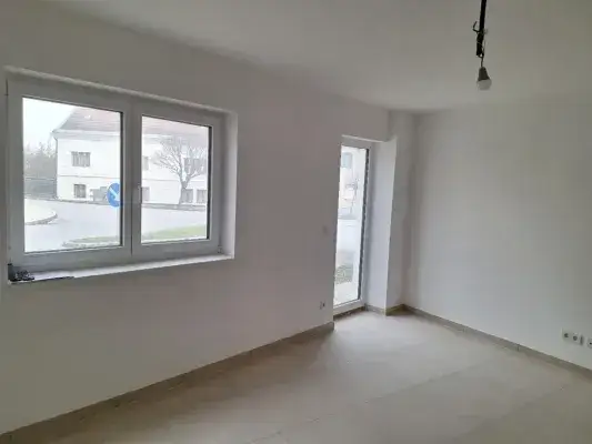 20251110_114643 (Medium).jpg