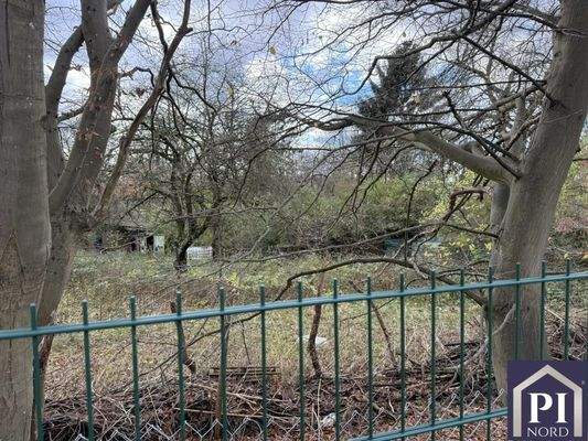 Bäume und Sträucher auf dem Gelände