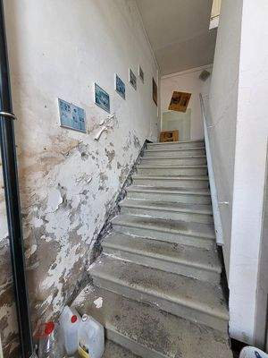 vorderer Aufgang Anbau