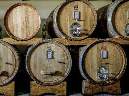 Luxus Anwesen | Civitella in Val di Chiana