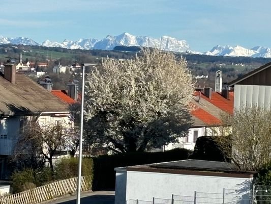 Blick auf die Alpen