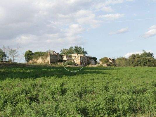 Großes Anwesen | Asciano