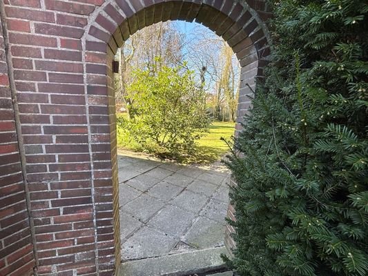 Blick in den Garten