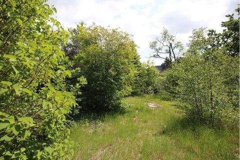 Buchholz in der Nordheide Grundstücke, Buchholz in der Nordheide Grundstück kaufen