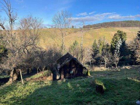 Weinstadt Grundstücke, Weinstadt Grundstück kaufen