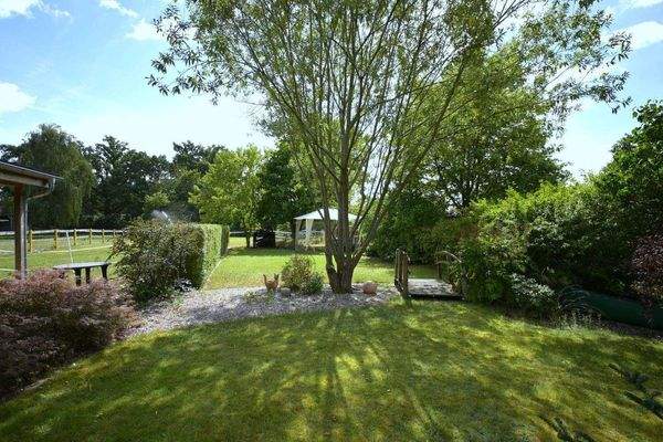 Blick in den hinteren Grundstücksbereich