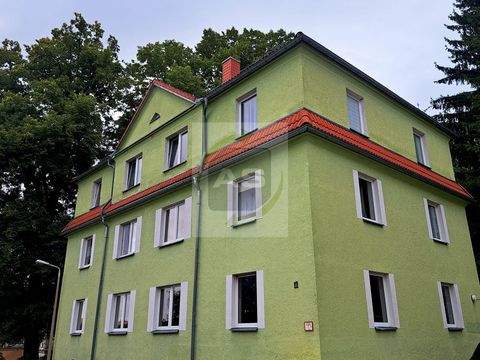 Zwickau Wohnungen, Zwickau Wohnung mieten