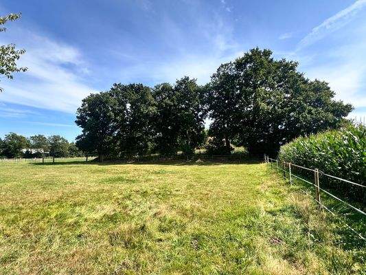 angrenzende Weidefläche