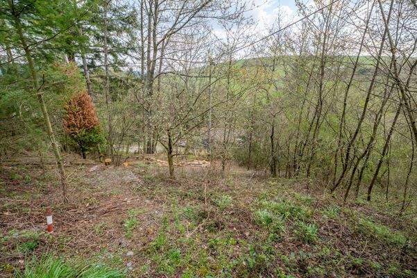 Hauptstraße 0 - 54316 Ollmuth