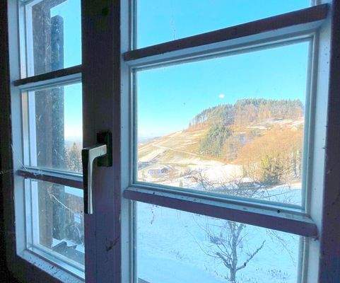 Nächste Aussicht aus den Fenstern
