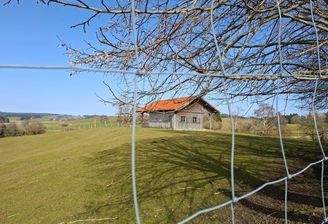Damwildgehege mit Versorgungshütte 