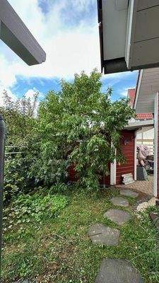 Garten mit Gartenhütte