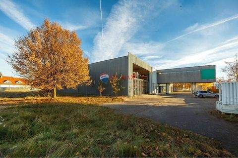 Klagenfurt Halle, Klagenfurt Hallenfläche