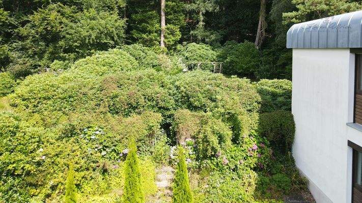 Überblick Gartenbereich