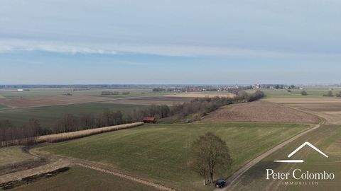 Prittriching / Winkl Bauernhöfe, Landwirtschaft, Prittriching / Winkl Forstwirtschaft
