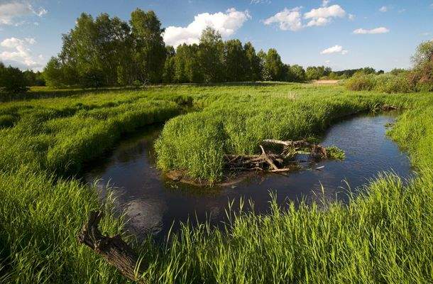 Umgebung_Tegeler Fließtal