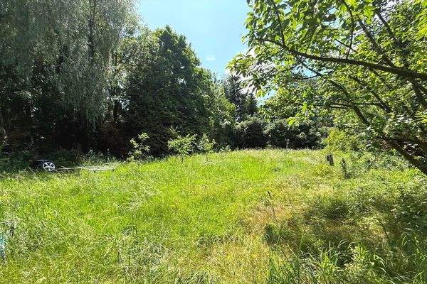 Impression Grundstück