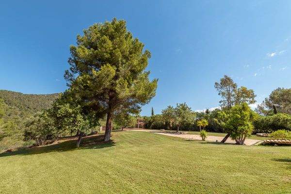 Medieterraner Garten