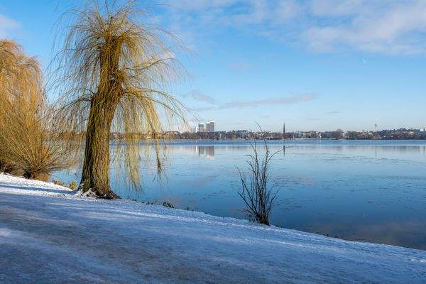 Sicht auf die Alster