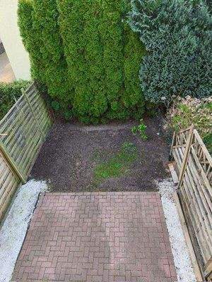 Blick in den Garten.jpeg