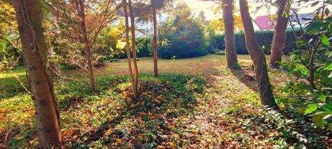 Scheßlitz Häuser, Scheßlitz Haus kaufen